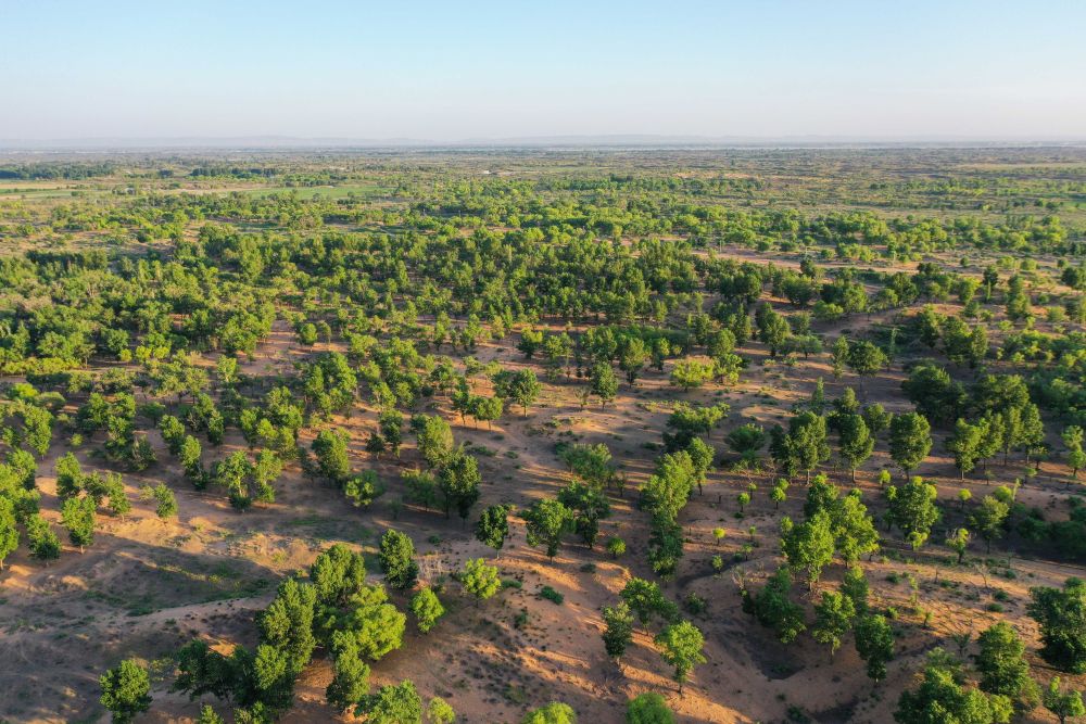 鏡觀·回響丨西部生態(tài)建設:以高水平保護支撐高質量發(fā)展