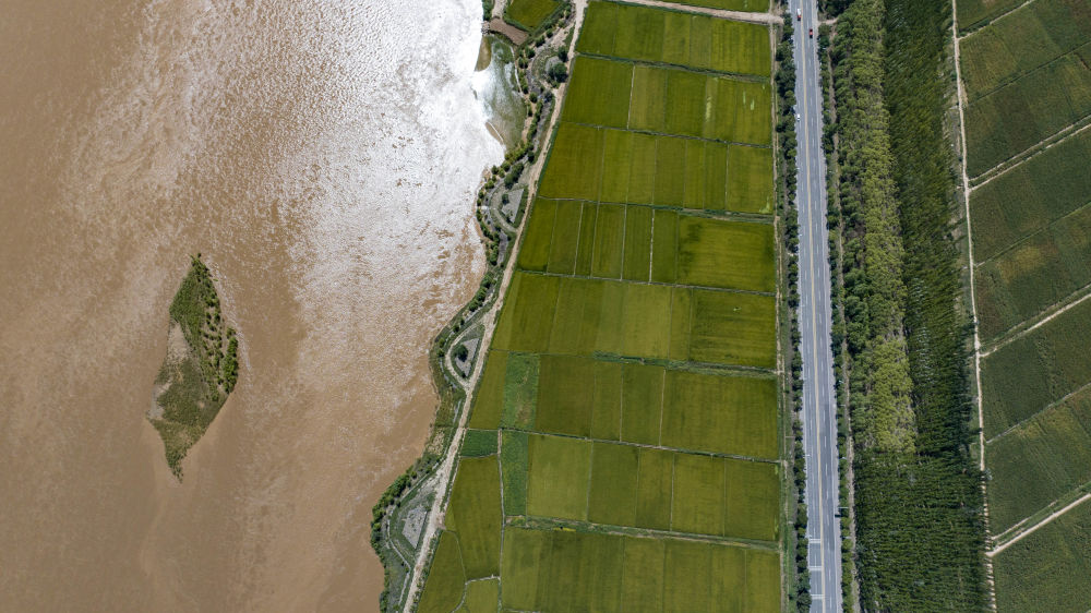 鏡觀·回響丨西部生態(tài)建設:以高水平保護支撐高質量發(fā)展