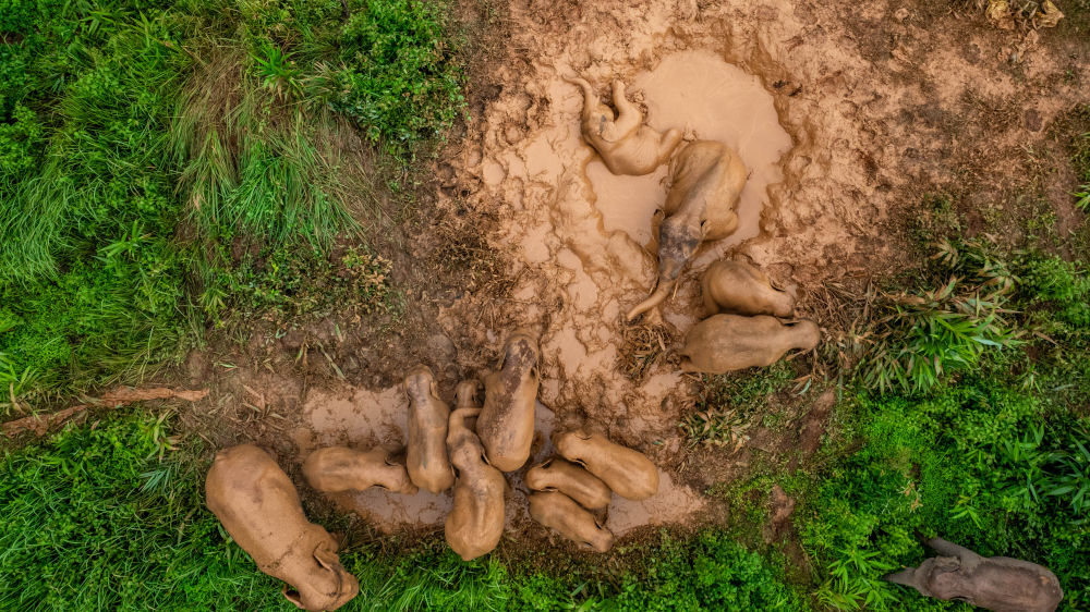 鏡觀·回響丨西部生態(tài)建設:以高水平保護支撐高質量發(fā)展