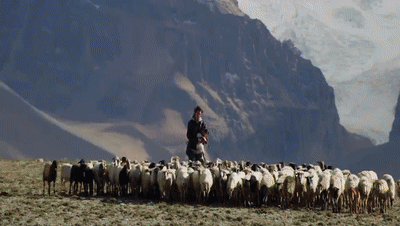 你看了嗎？藏語(yǔ)版《日光之城》“含金量”還在上升！