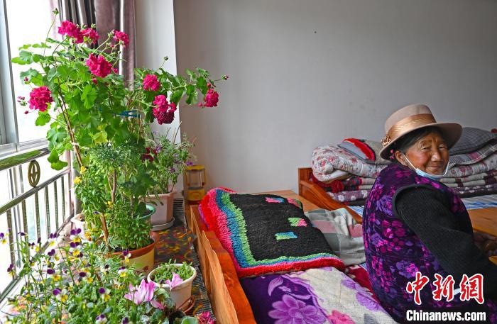 圖為曲松縣特困人員集中供養(yǎng)中心老人德吉卓嘎與她的花。　趙朗 攝