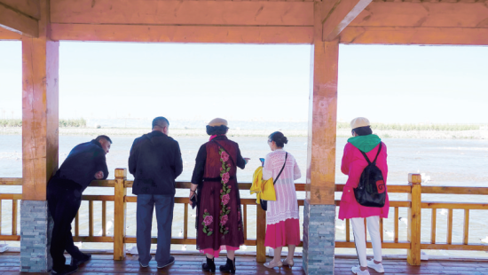 湟魚洄游奇觀吸引游人。