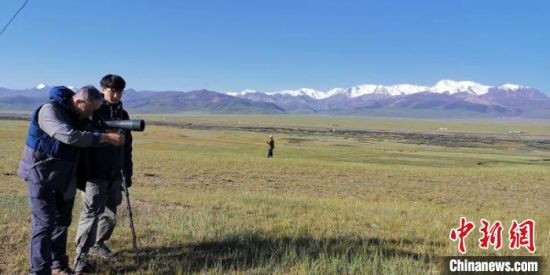 圖為工作人員正在進(jìn)行黑頸鶴衛(wèi)星跟蹤和環(huán)志工作?！∑钸B山國(guó)家公園青海省管理局供圖 攝