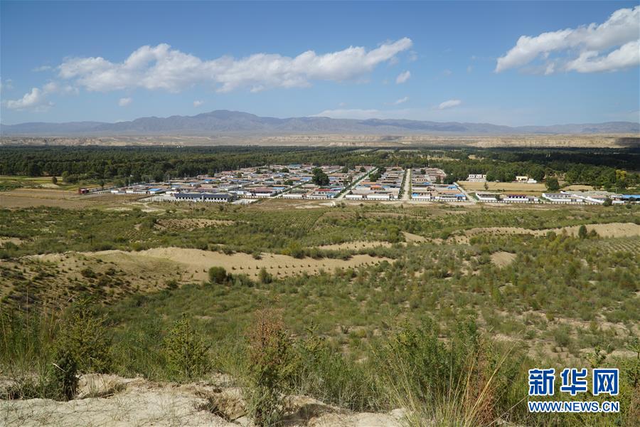 （決戰(zhàn)決勝脫貧攻堅·圖文互動）（2）高原鄉(xiāng)鎮(zhèn)沙珠玉 治沙斗貧成“綠?！薄嗪Ｊ」埠涂h沙珠玉鄉(xiāng)采訪見聞