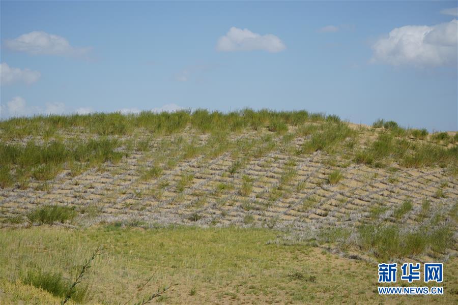 （決戰(zhàn)決勝脫貧攻堅·圖文互動）（3）高原鄉(xiāng)鎮(zhèn)沙珠玉 治沙斗貧成“綠?！薄嗪Ｊ」埠涂h沙珠玉鄉(xiāng)采訪見聞