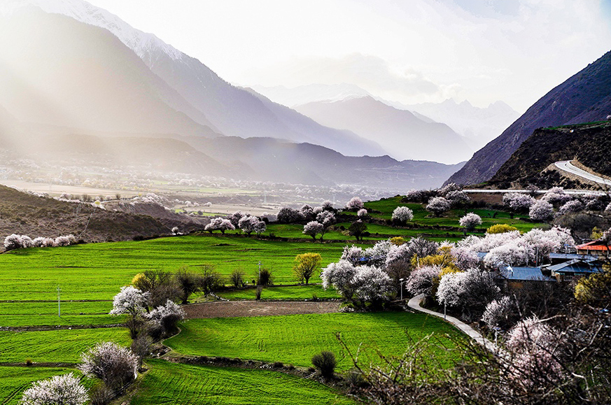 西藏林芝市波密縣傾多鎮(zhèn)八朵卡的田園風(fēng)光（攝于4月5日）。新華網(wǎng) 達(dá)娃攝.jpg