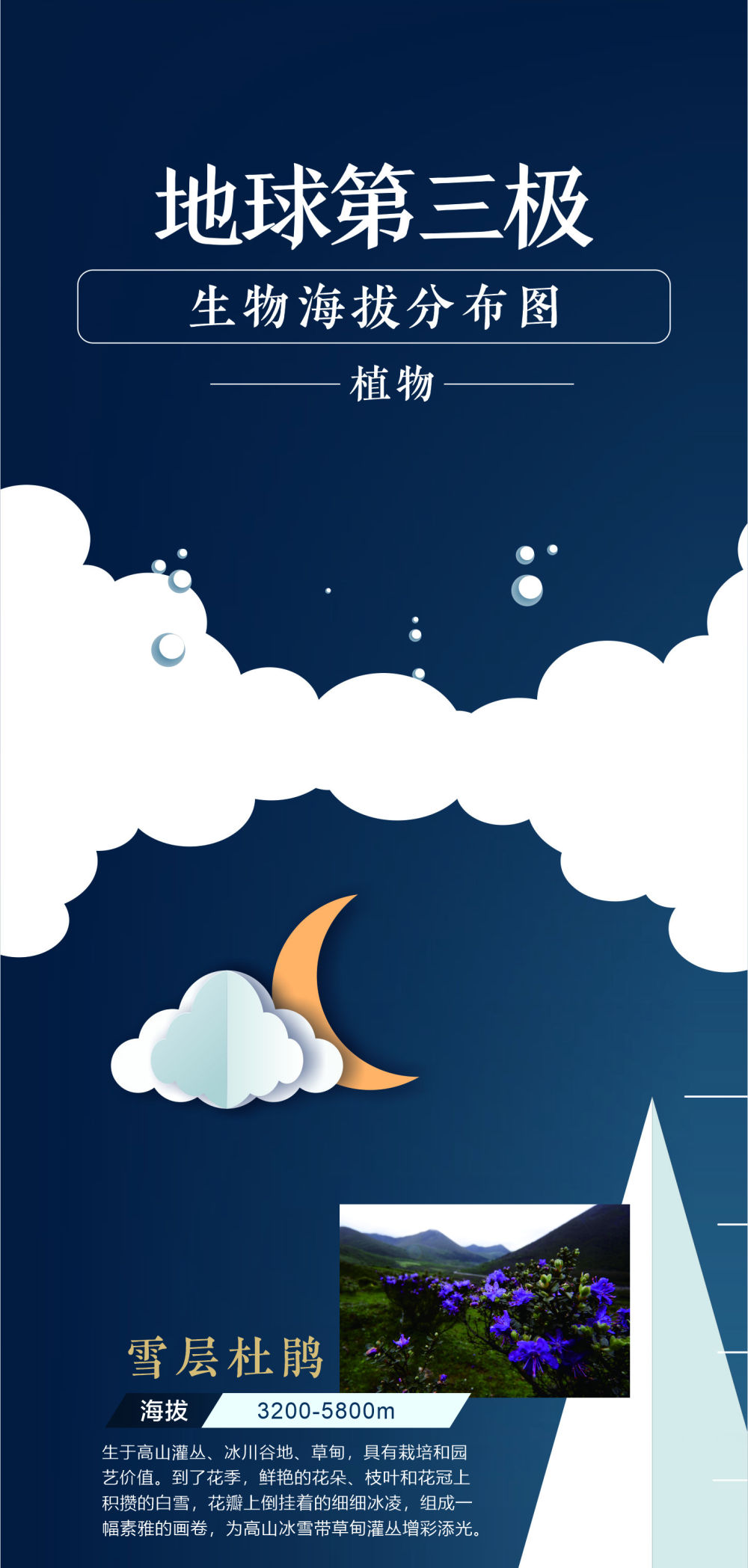 地球第三極:8000米落差造就的生物多樣性之美