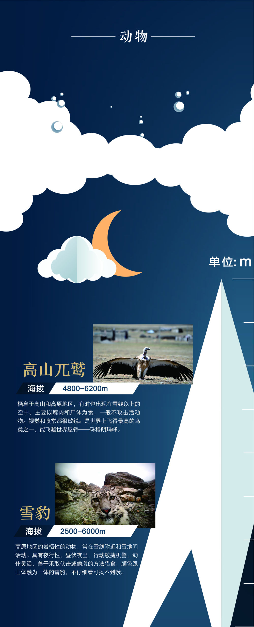 地球第三極:8000米落差造就的生物多樣性之美