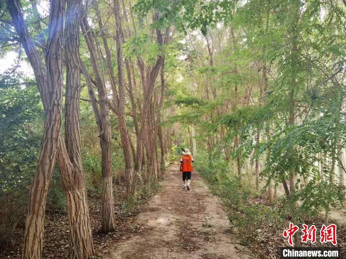 戈壁灘上的護(hù)林員：以前風(fēng)吹睜不開(kāi)眼，現(xiàn)在滿(mǎn)眼皆綠色
