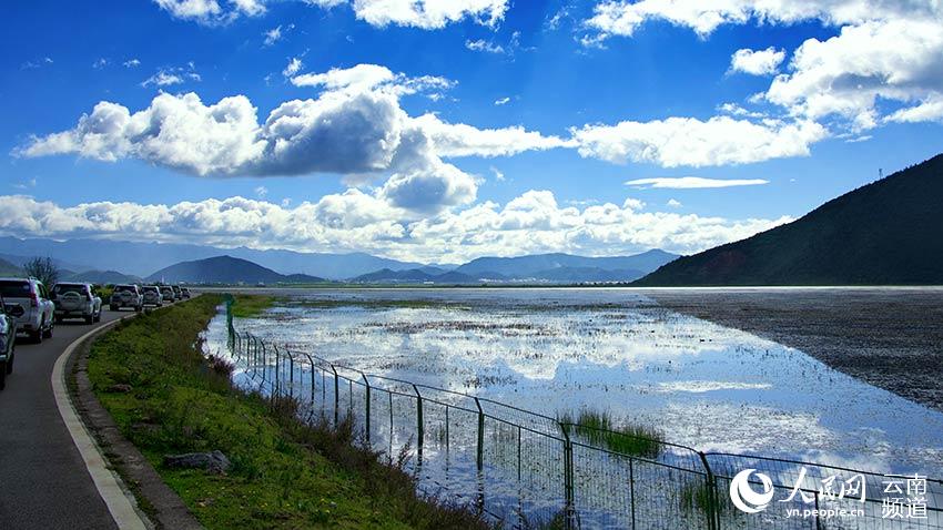 納帕海濕地。呂昊辰攝