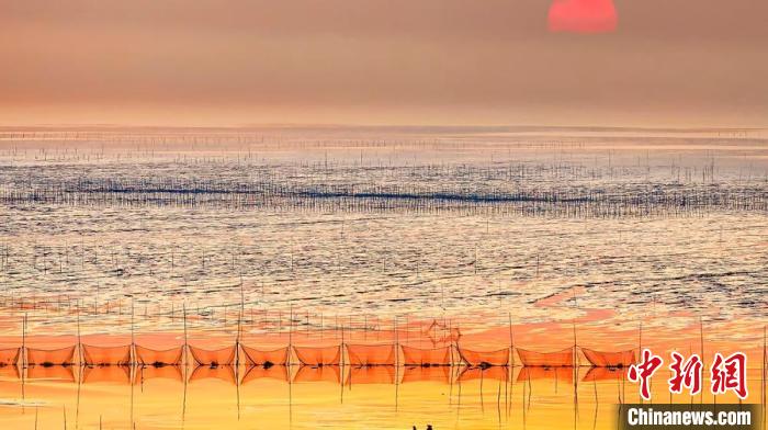 江蘇鹽城被譽(yù)為金灘銀蕩、魚米之鄉(xiāng)?！←}城市委宣傳部供圖