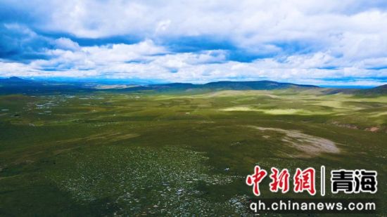 圖為長江南源沼澤濕地。李江寧攝