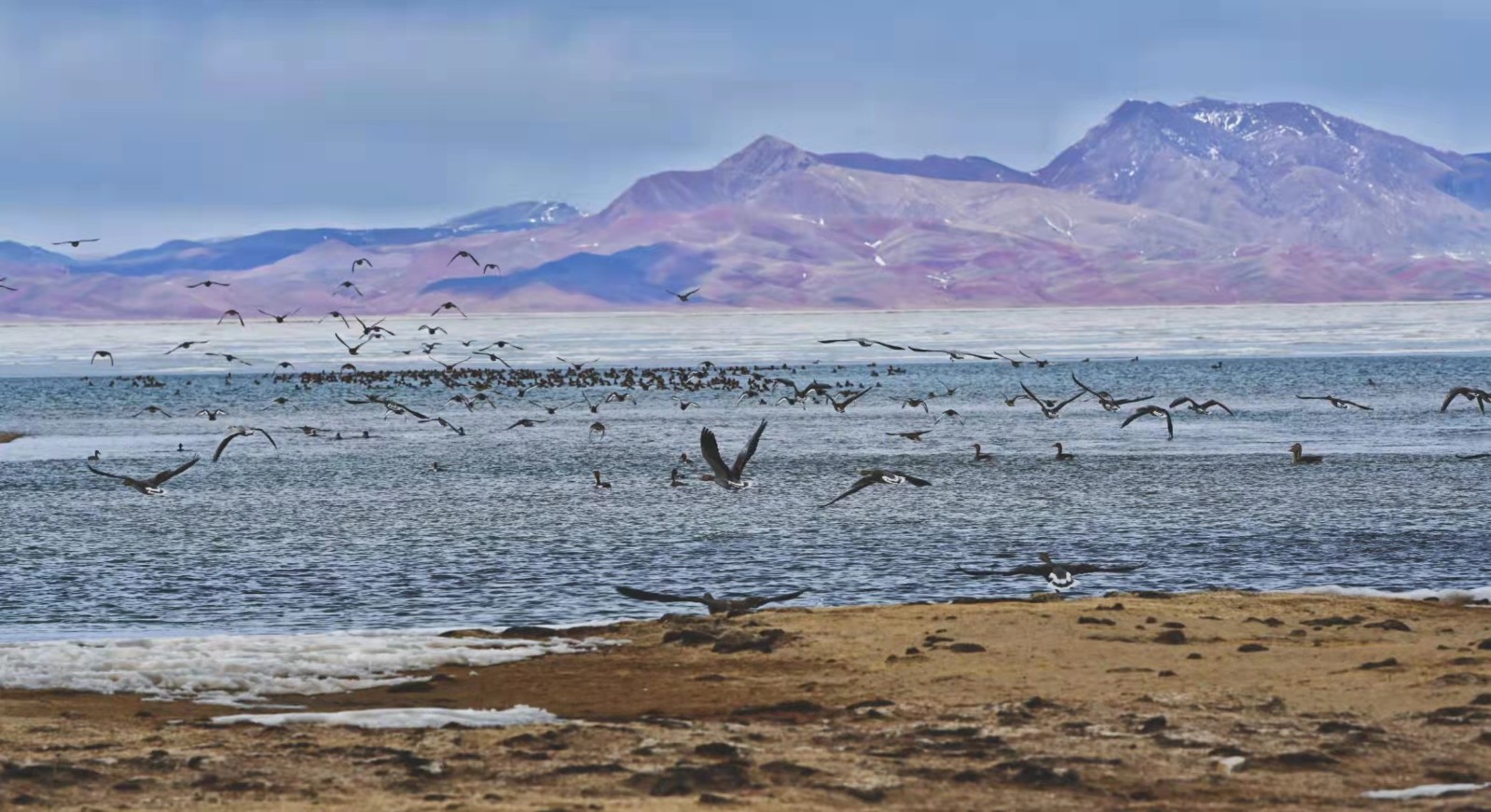 微信圖片_20220309104232.jpg 微信圖片_20220309104232.jpg