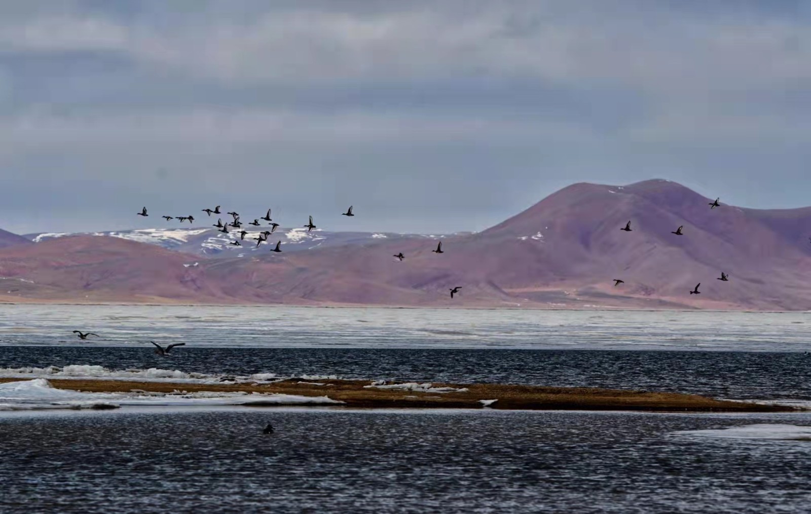 微信圖片_20220309104218.jpg 微信圖片_20220309104218.jpg