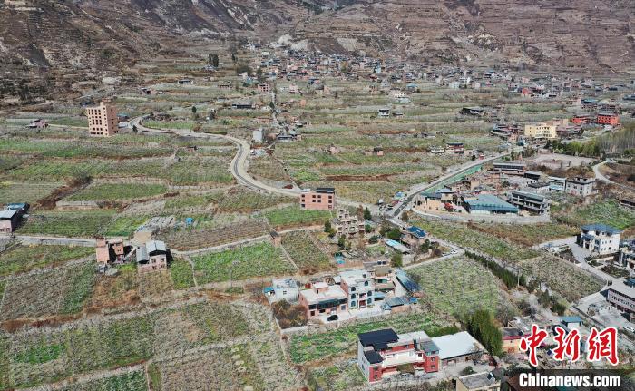 潔白的李花與村寨交相輝映，勾勒出一幅美麗的和諧生態(tài)畫卷?！『吻搴?攝