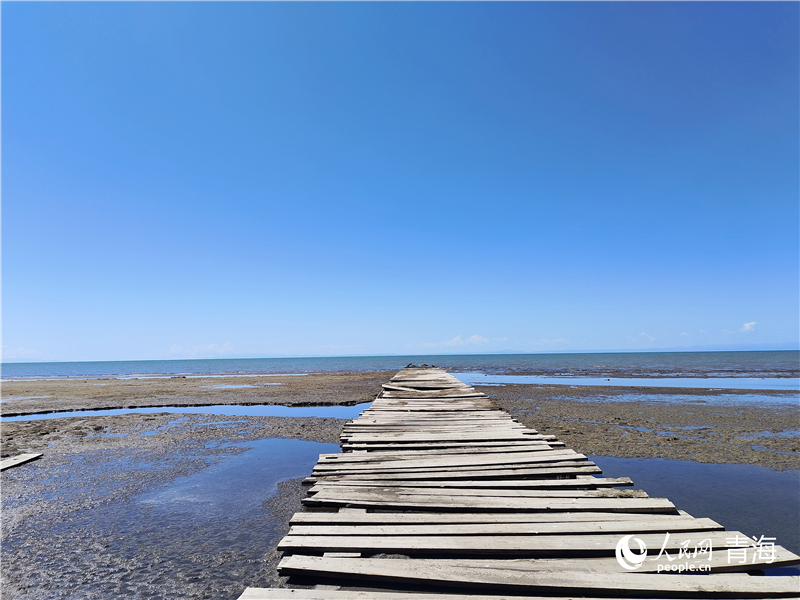   青海湖仙女灣。人民網(wǎng) 張莉萍攝