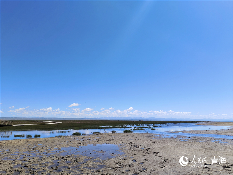   青海湖仙女灣。人民網(wǎng) 張莉萍攝
