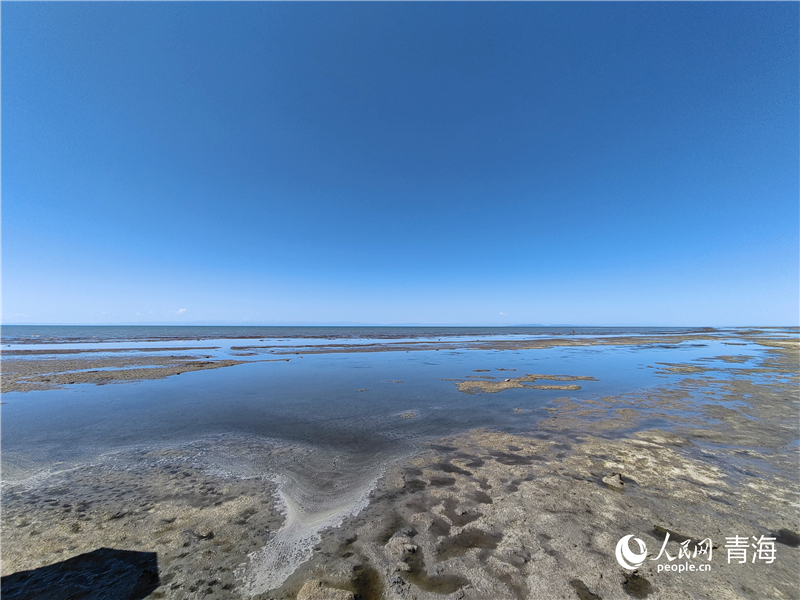   青海湖仙女灣。人民網(wǎng) 張莉萍攝
