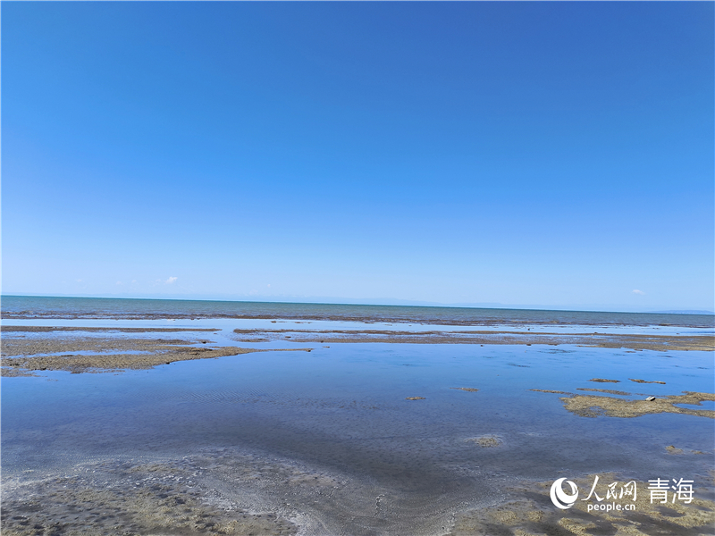   青海湖仙女灣。人民網(wǎng) 張莉萍攝