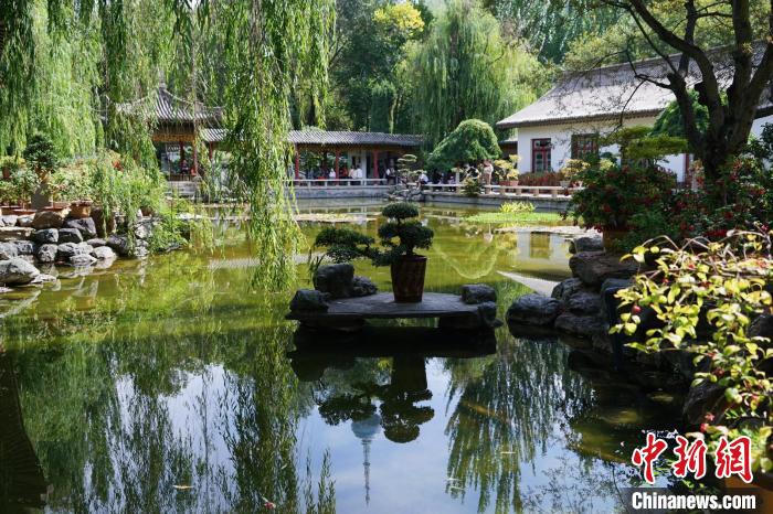 圖為西寧園林植物園秋日風(fēng)景別有韻味?！●R銘言 攝