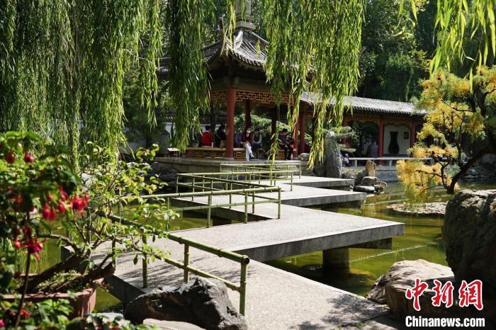 圖為西寧園林植物園秋日風(fēng)景別有韻味。　馬銘言 攝