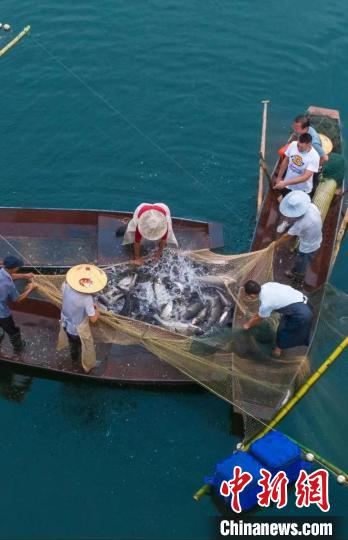 捕魚現(xiàn)場(chǎng)。　主辦方供圖