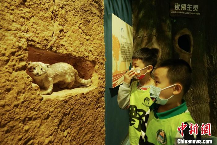 圖為小朋友在青海西寧湟水國家濕地公園科普館內(nèi)參觀學(xué)習(xí)?！●R銘言 攝