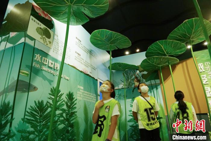 圖為小朋友在青海西寧湟水國家濕地公園科普館內(nèi)參觀學(xué)習(xí)。　馬銘言 攝