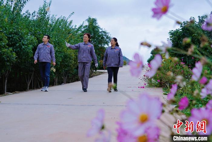 圖為張錦梅(中)與同事在西寧北山查看丁香樹?！●R銘言 攝