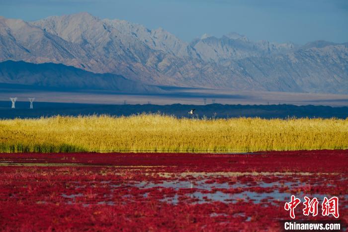 圖為柴達木盆地可魯克湖?！」?攝