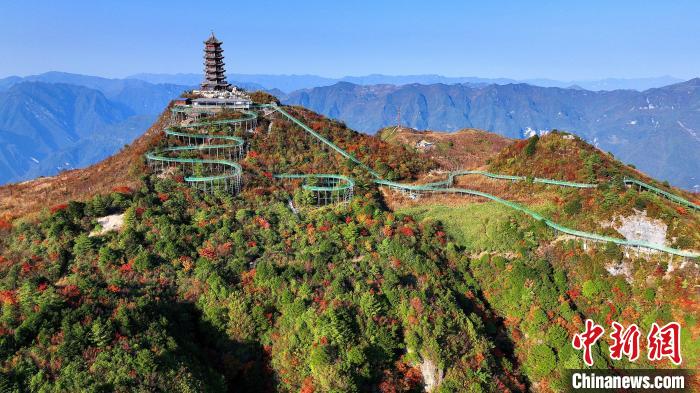 巴山大峽谷彩林迎來最佳觀賞期。　姚盛 攝