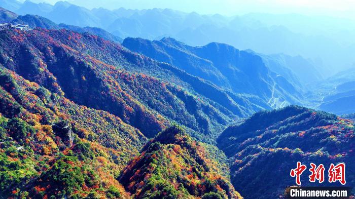 巴山大峽谷彩林迎來最佳觀賞期。　張平 攝