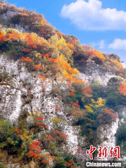 彩林色彩斑斕?！≈炱桨?攝