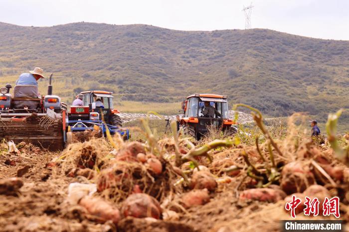 青海東部農(nóng)業(yè)區(qū)：“一分川、一分水、八分山”里“刨金記”