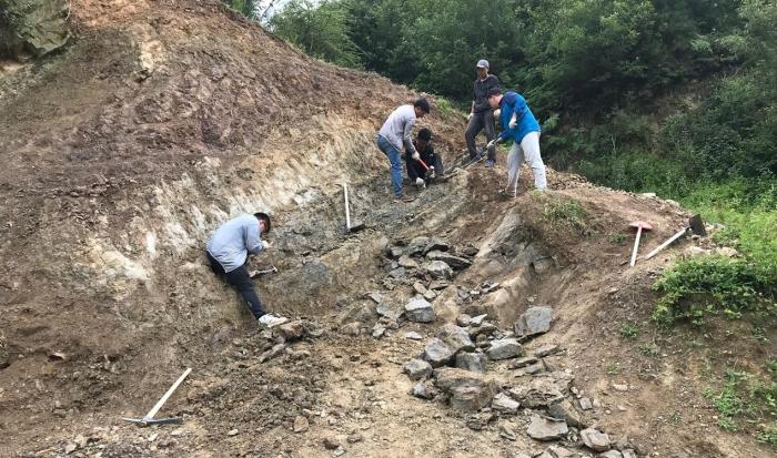 2018年玉海翼角魚(yú)野外發(fā)掘采集現(xiàn)場(chǎng)?！∩w志琨 攝