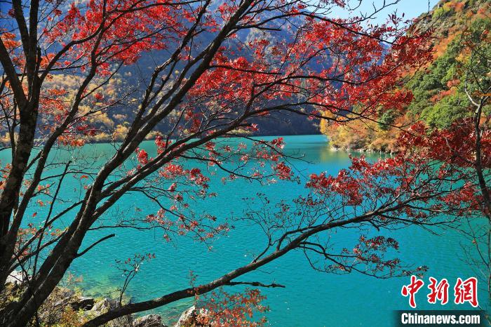 松坪溝風(fēng)光?！『吻搴?攝