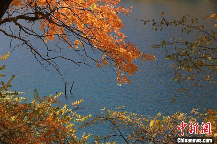 松坪溝風(fēng)光?！⑼?攝