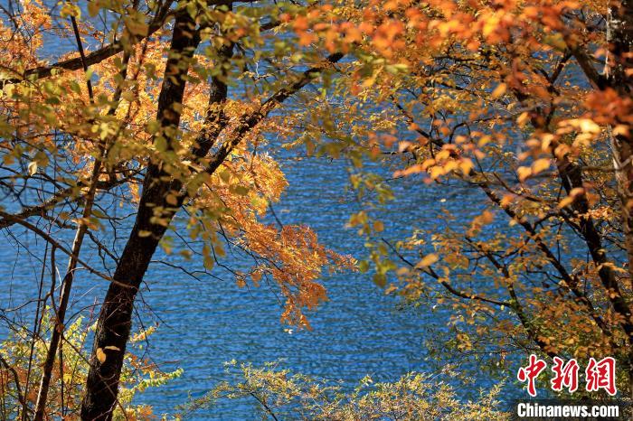 松坪溝風(fēng)光。　劉通 攝