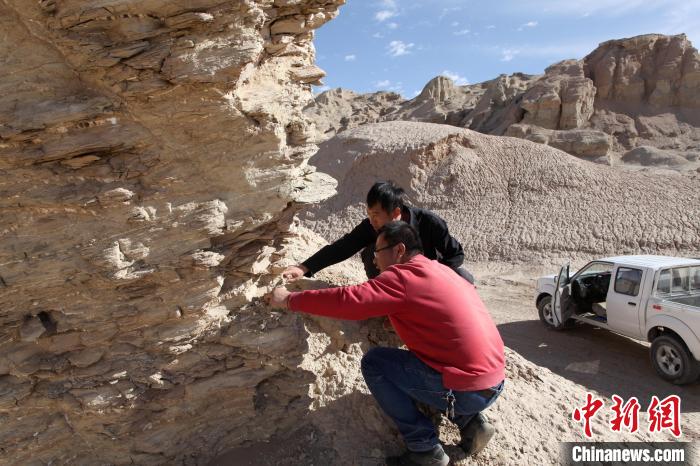 圖為地質(zhì)專家觀察鹽類沉積地層。(資料圖) 柴綜院 供圖
