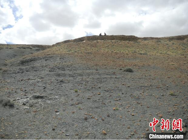 圖為本次研究的藏南曲布剖面二疊紀(jì)末期黑色頁(yè)巖?！∧瞎潘?供圖