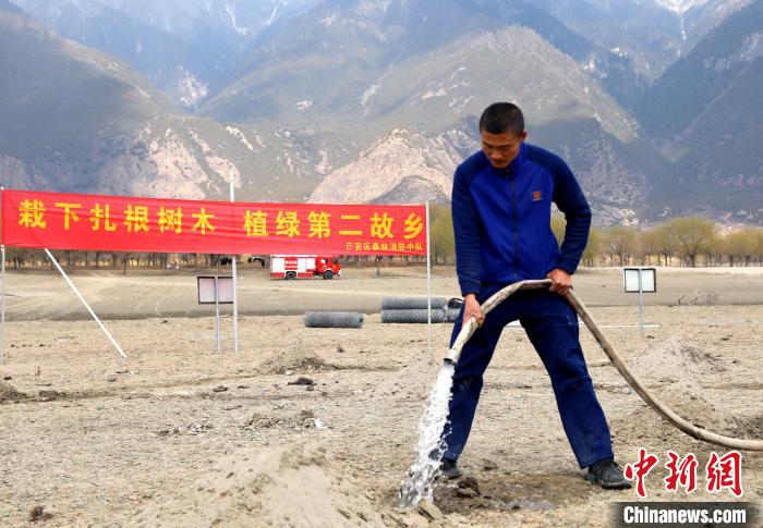 林芝市巴宜區(qū)森林消防中隊(duì)志愿服務(wù)隊(duì)澆水灌溉?！∥骼@拉翁 攝
