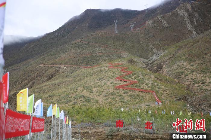 圖為拉薩南北山綠化工程拉薩曲水縣才納村5號片區(qū)?！∝暣_ 攝