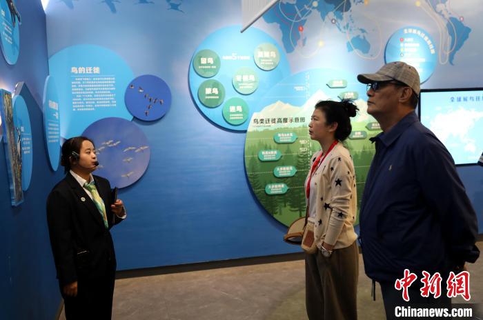 圖為臺(tái)商在祁連山國(guó)家公園生態(tài)科普館內(nèi)聆聽(tīng)講解。　薛蒂 攝