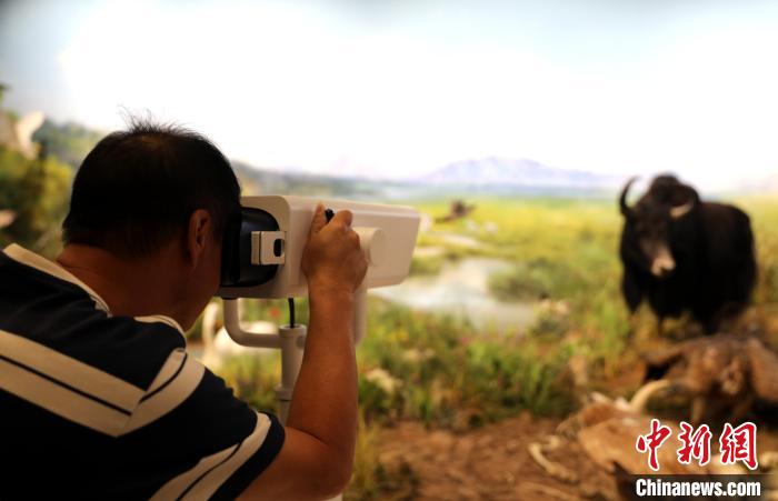 圖為臺(tái)商觀看祁連山國(guó)家公園生態(tài)科普館內(nèi)生態(tài)場(chǎng)景?！⊙Φ?攝