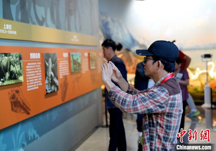 圖為臺(tái)商在祁連山國(guó)家公園生態(tài)科普館觀看墻面藝術(shù)圖文?！⊙Φ?攝
