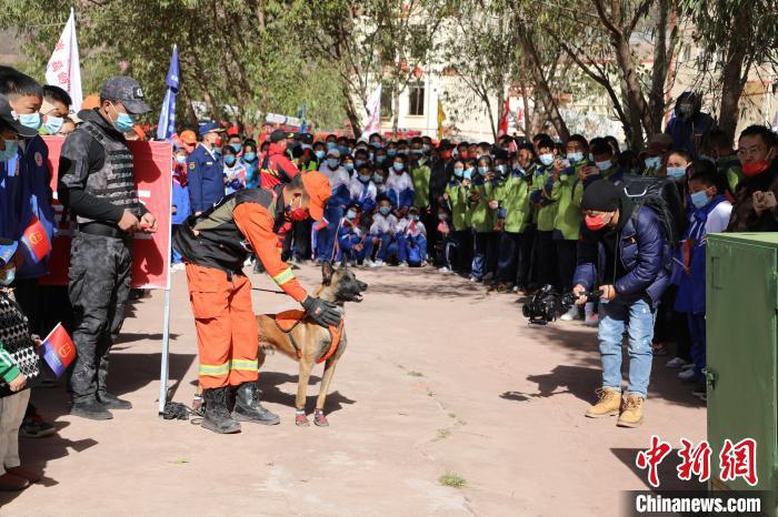 圖為搜救犬服從和箱體搜救演練?！≮w琳 攝