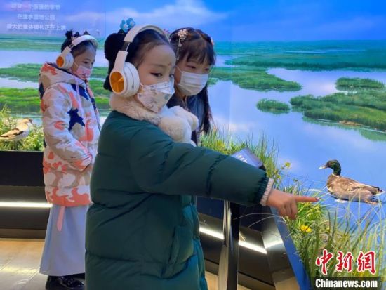 圖為學生在西寧市第一中學濕地科普宣教館內參觀。　李江寧 攝