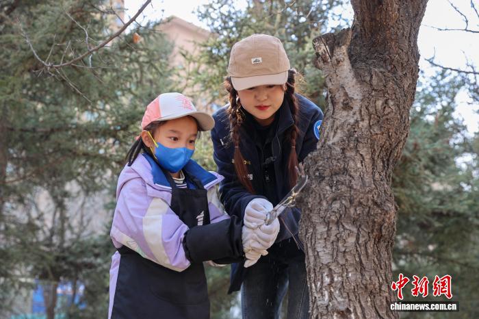 青海西寧：青少年參與植樹節(jié)研學(xué)實踐活動
