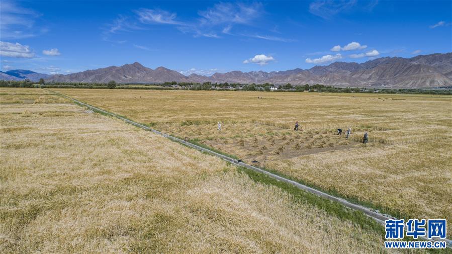 （新華全媒頭條·走向我們的小康生活·圖文互動(dòng)）（11）扎西德勒，我們的新家園——西藏易地扶貧搬遷搬出幸福美好新生活