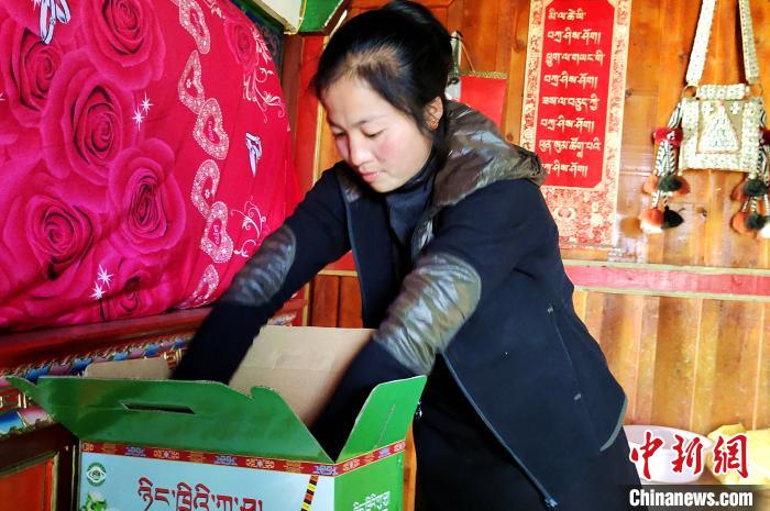 圖為通麥村村民巴桑拉姆把精心挑選的蘋果裝箱?！∝暽＠?攝